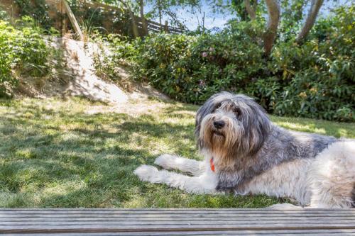 Haus Moevengrund - image 14