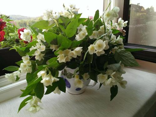 Apartmany u Jezera - image 10