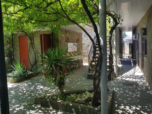 Semeinyi - image 2