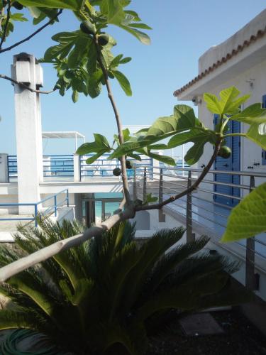 B&B Conca del Faro 3
