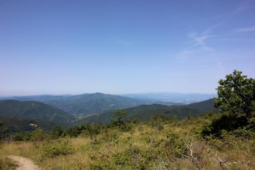 B&B Poggio alla Cuna chambre d'hôte Incisa