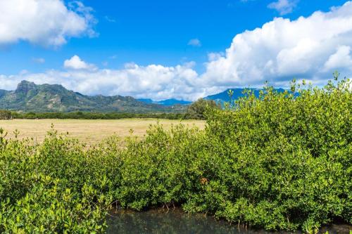 Kapa'a by the Sea (TVNC#:1312) - image 8
