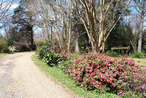 Glenfield Plantation Historic Antebellum Bed and Breakfast - main image