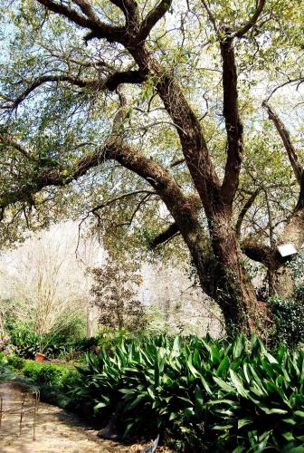Glenfield Plantation Historic Antebellum Bed and Breakfast - 편의 시설/서비스