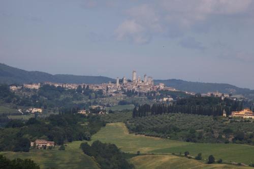 Podere Il Pino