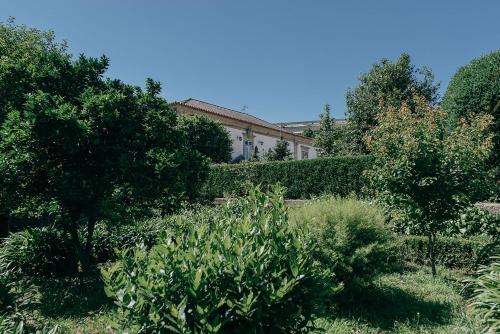 Casa Dos Pombais - 전망