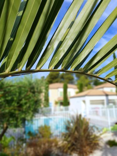 Villas mitoyennes Le Mas Des Cigales gîte à louer Castries