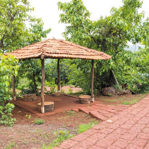 Forest Escapes Koyna