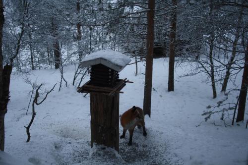 Neljän Tuulen Tupa