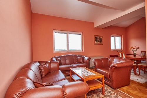 Apartman Jovana Sokobanja - Location saisonnière - Sokobanja