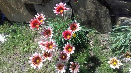 La Rosa dei Venti