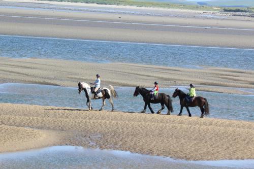 Armada Lodge Seashore Holiday Apartment in Dunglow