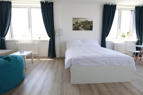 Apartment with Balcony image 8