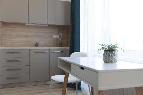 Apartment with Balcony image 9