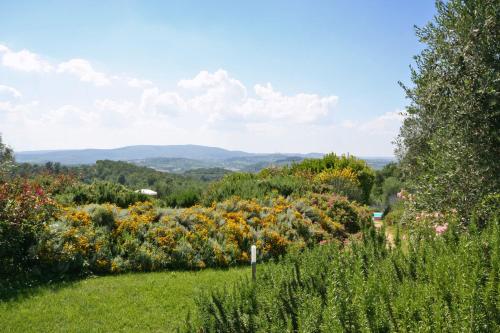 Podere Il Pino