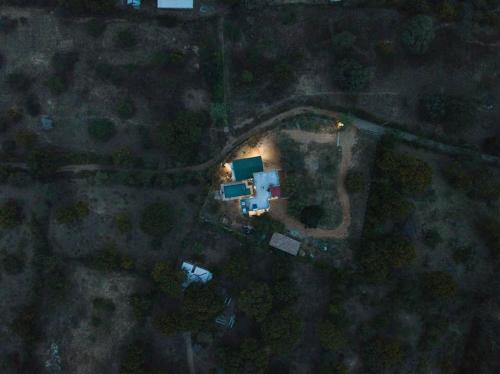 Forestville Yala