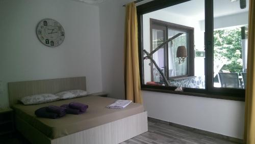 Casa la Petcu in Costinesti