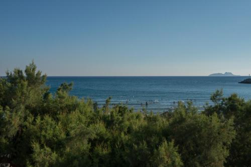 Golden Sun Apartments - image 2