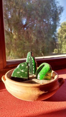 كاسا كولوريس