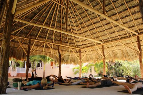 Atracciones, The Crimson Orchid Inn at Orchid Bay in Orchid Bay