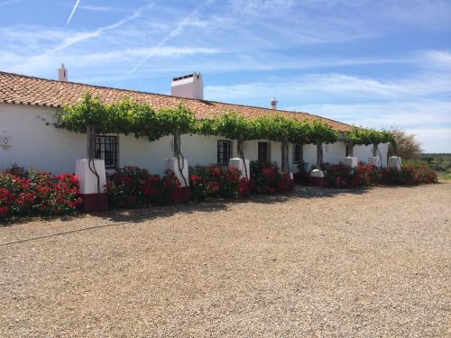 Monte dos Caliços gîte à louer Fronteira