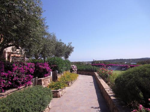 Dany's Home in Baia de Bahas