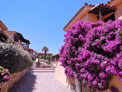 Dany's Home in Baia de Bahas