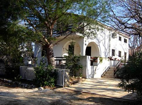  Vesna Pag Potočnica in Borovići