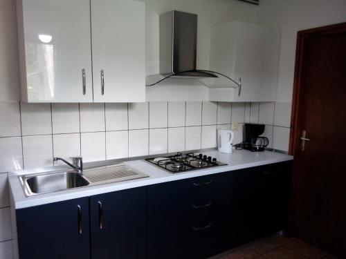 virtuve, Vacation home Kuca za Odmor in Krasno Poļje