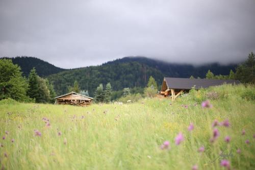 Apartament Królewski Superior z sauną, Zakopane (foto 10)