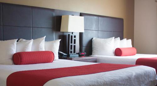 Best Western Plus West Akron Inn & Suites - image 9