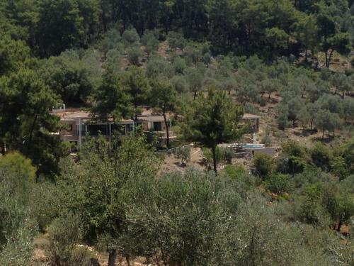 D&C Gocek Hotel