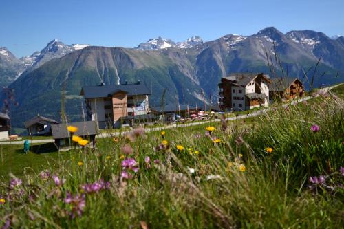 Appartmenthaus Bergfreund - image 6