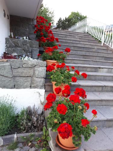Parkhotel Florian - image 14
