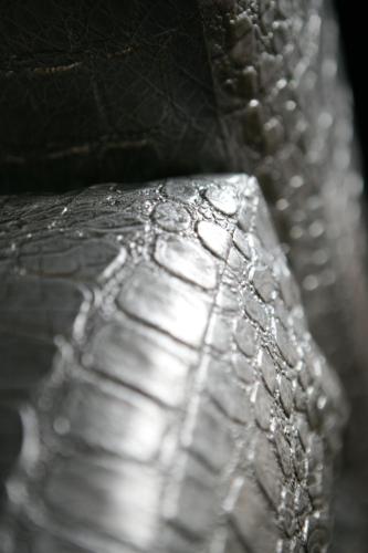 Windermere Suites - image 7