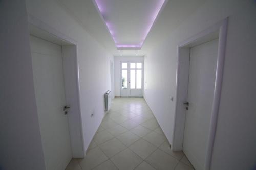 Apartmens Rex - main image