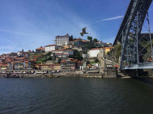 Oporto Platinum Loft