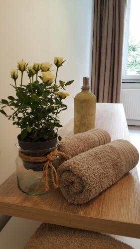 Komfortowy Apartament