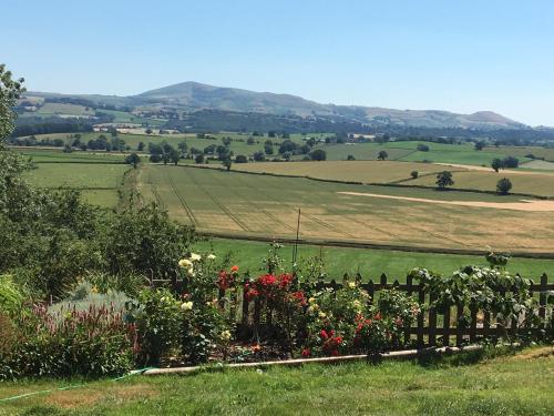 The View - Forden with Leighton and Trelystan