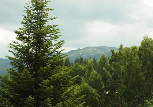 Aura, Szklarska Poręba (foto 6)