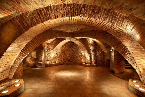 Hotel Akademie a depandance Vila Jarmila - image 14