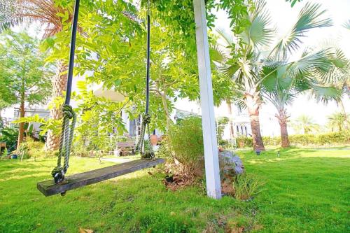 Hasayaki Homestay - 액티비티