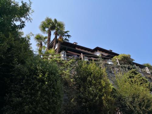Brilago 1, Brissago (zdjęcie 4)