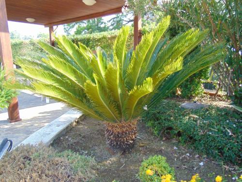 Villa Celeste B&B - image 14