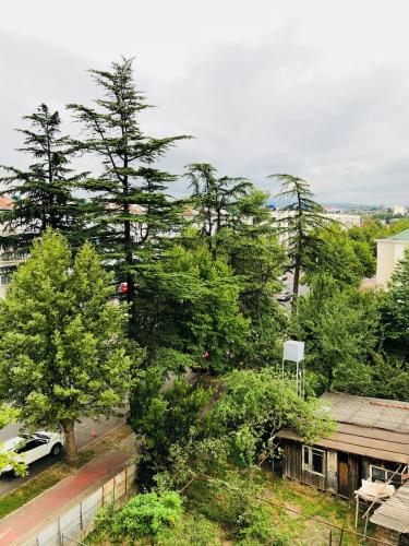 Chika Agoda提供写真