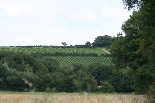 Chalet aux pied des vignes