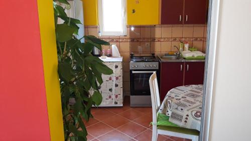Зовнішній вигляд готелю, Guesthouse Djacic in Будва