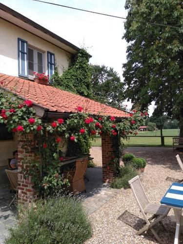 Dārzs, De Blauwe Maaten in Neerglabbeek