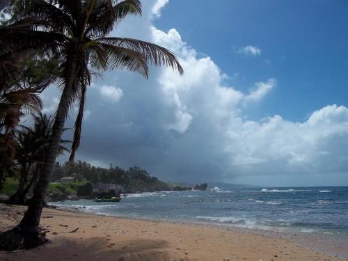 Ocean Ridge at Long Beach