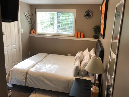 Cozy and modern 3 bedroom in central location!